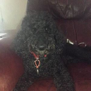 Meet your Posher, Karen